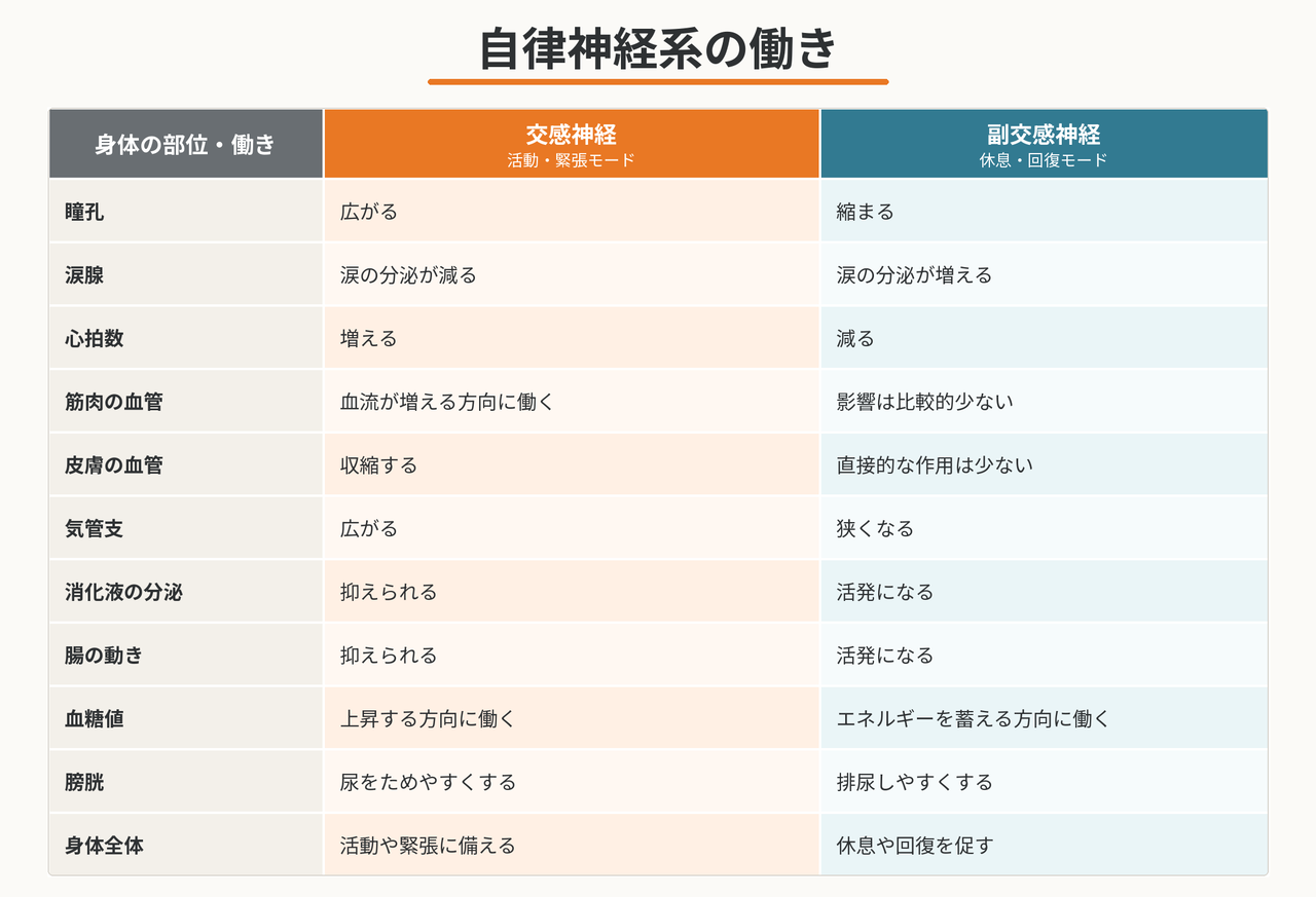 ファイルをダウンロード