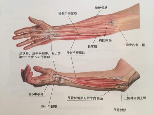 腱鞘炎 ばね指 千葉市稲毛区の整体なら氣仙長生治療院 肩こり 腰痛 ひざ痛 腱鞘炎 ばね指 千葉市稲毛区の整体なら氣仙長生治療院 肩こり 腰痛 ひざ痛